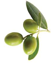 3 olive